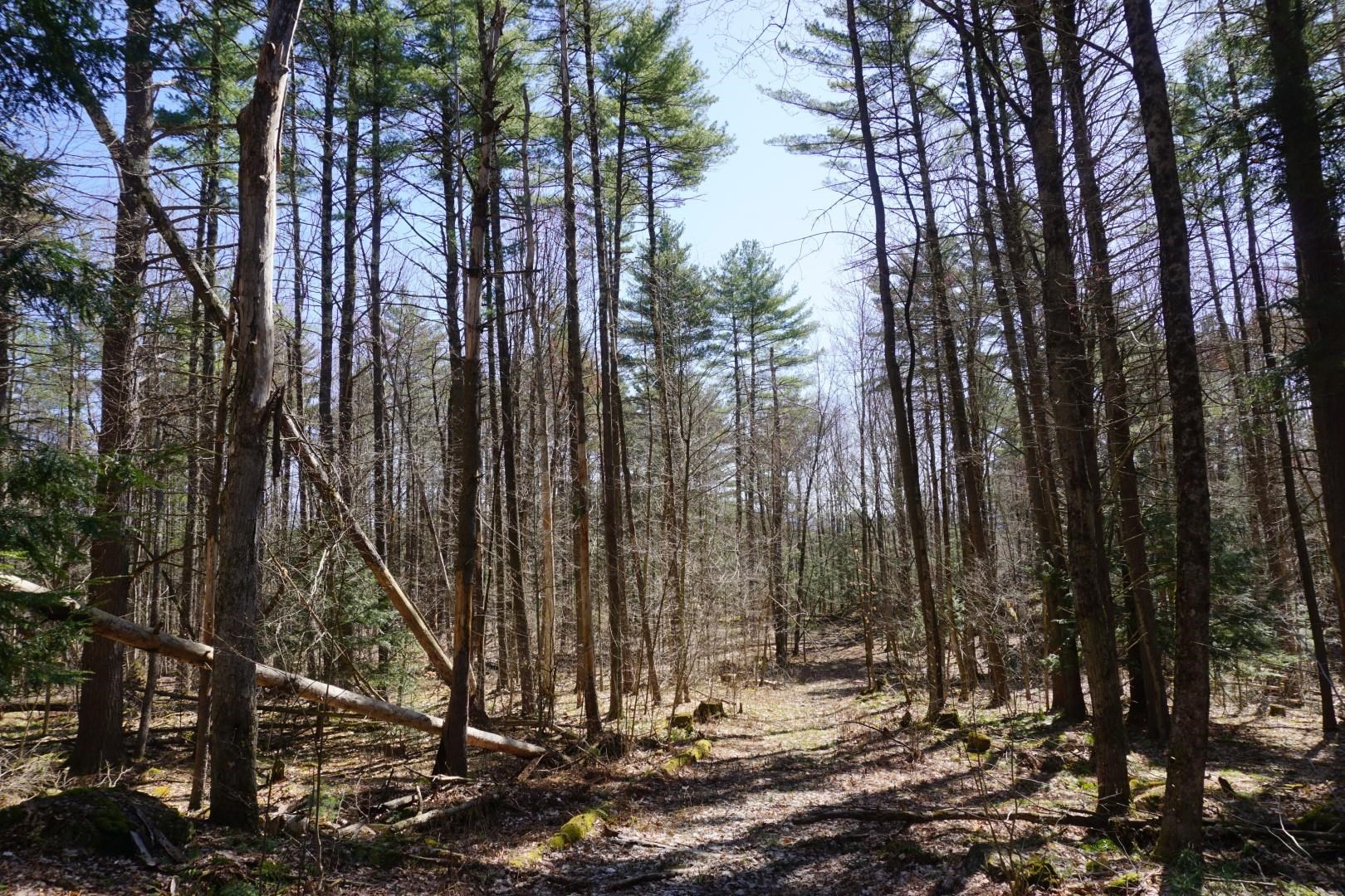 200 Towers Road Essex, VT 05452 - Photo 8 of 12 Gallery Image 8