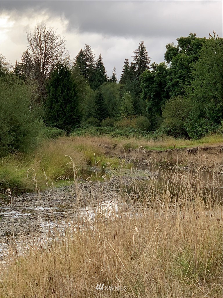 261 Tryon Road Onalaska, WA 98570 - Photo 12 of 26 Gallery Image 12