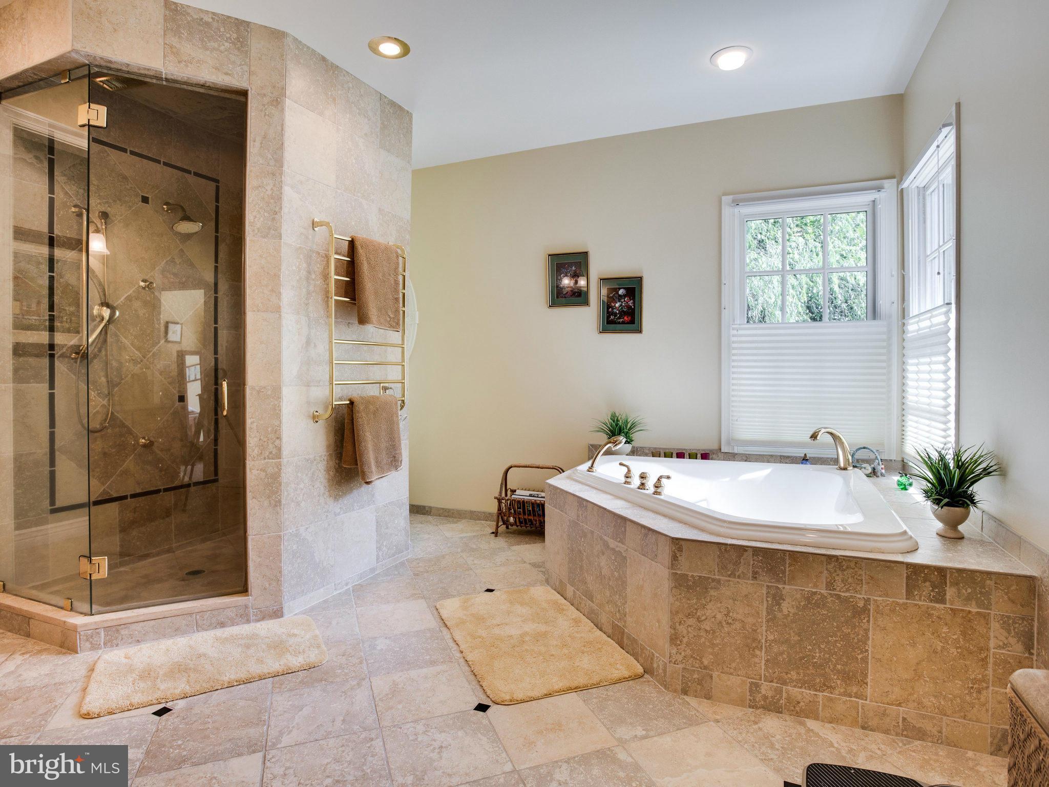2504 Howard Grove Road Davidsonville, MD 21035 - Photo 19 of 30 Master Bath