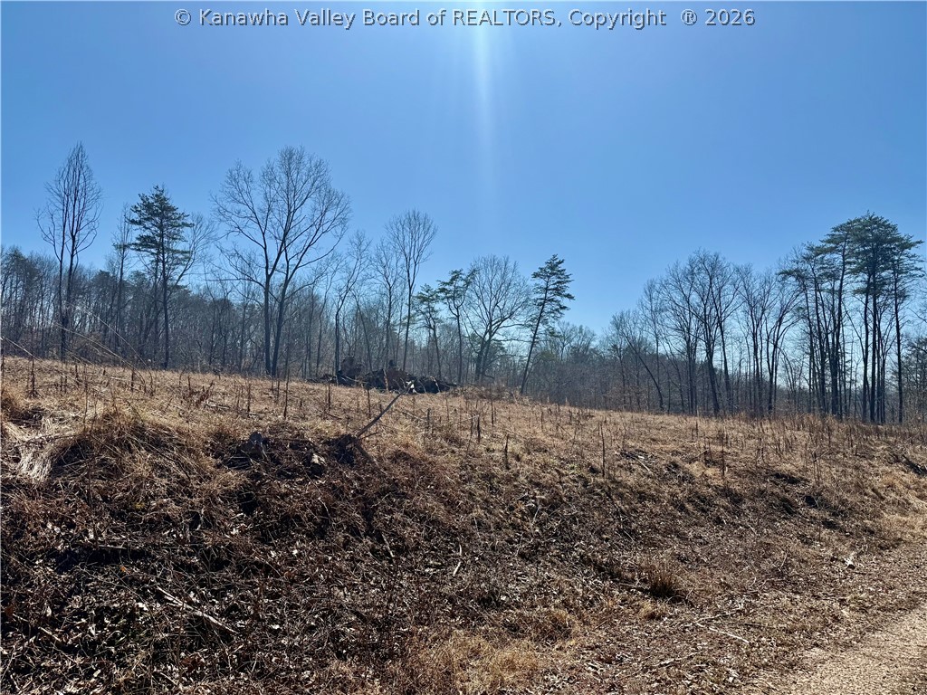 0 Blessing Lane Ripley, WV 25271 - Photo 2 of 15 Gallery Image 2