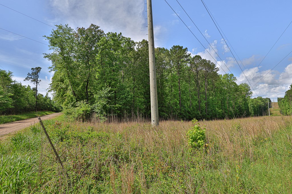 0 North Porter Road Shiloh, GA 31826 - Photo 20 of 32 Gallery Image 20