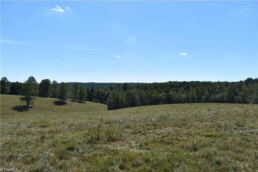 52 Zephyr Mountain Park Road Elkin, NC 28621 - Photo 13 of 19 Gallery Image 13