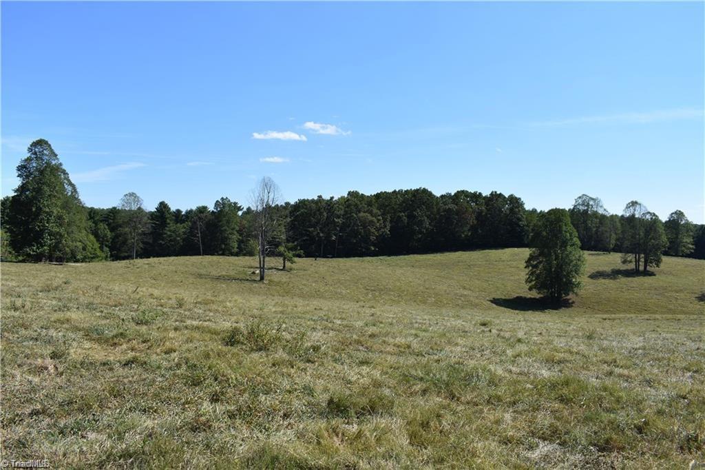 52 Zephyr Mountain Park Road Elkin, NC 28621 - Photo 14 of 19 Gallery Image 14