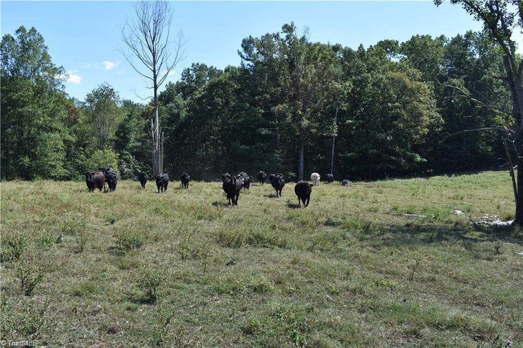 52 Zephyr Mountain Park Road Elkin, NC 28621 - Photo 16 of 19 Gallery Image 16