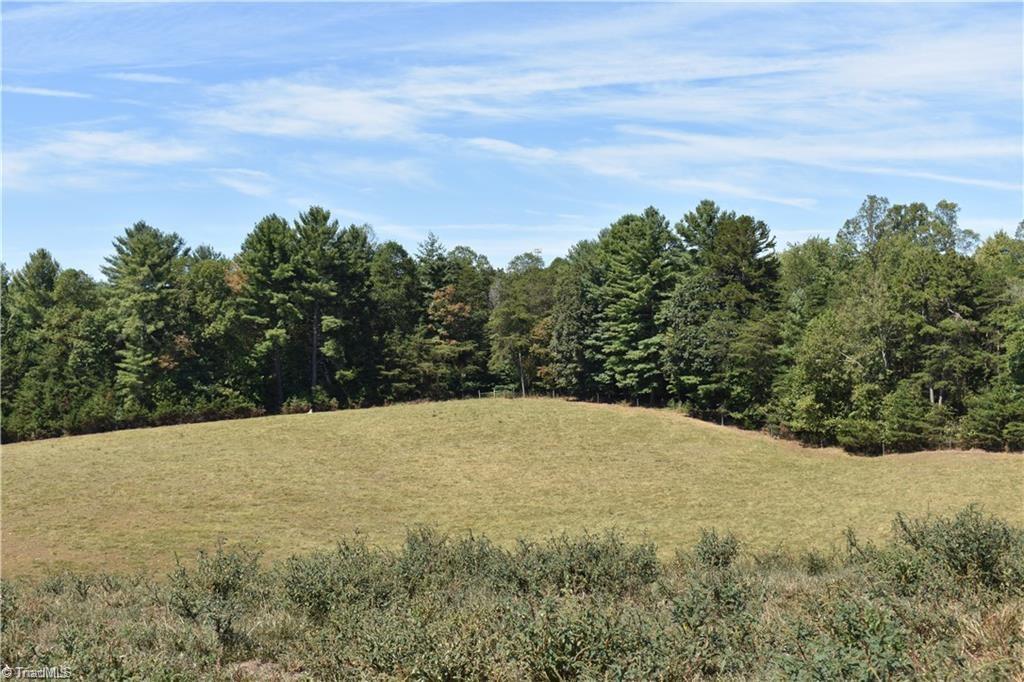 52 Zephyr Mountain Park Road Elkin, NC 28621 - Photo 10 of 19 Gallery Image 10