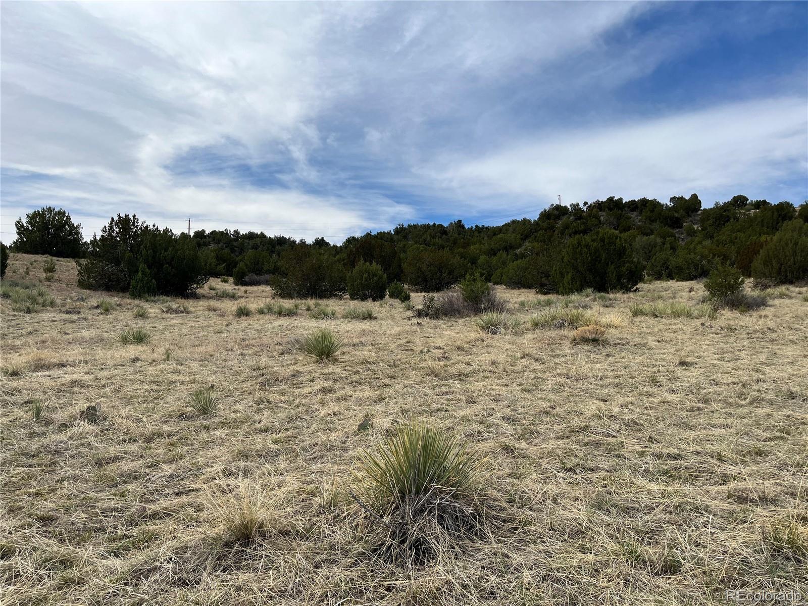 Lot 2 Red Creek Springs Road Pueblo, CO 81005 - Photo 11 of 22