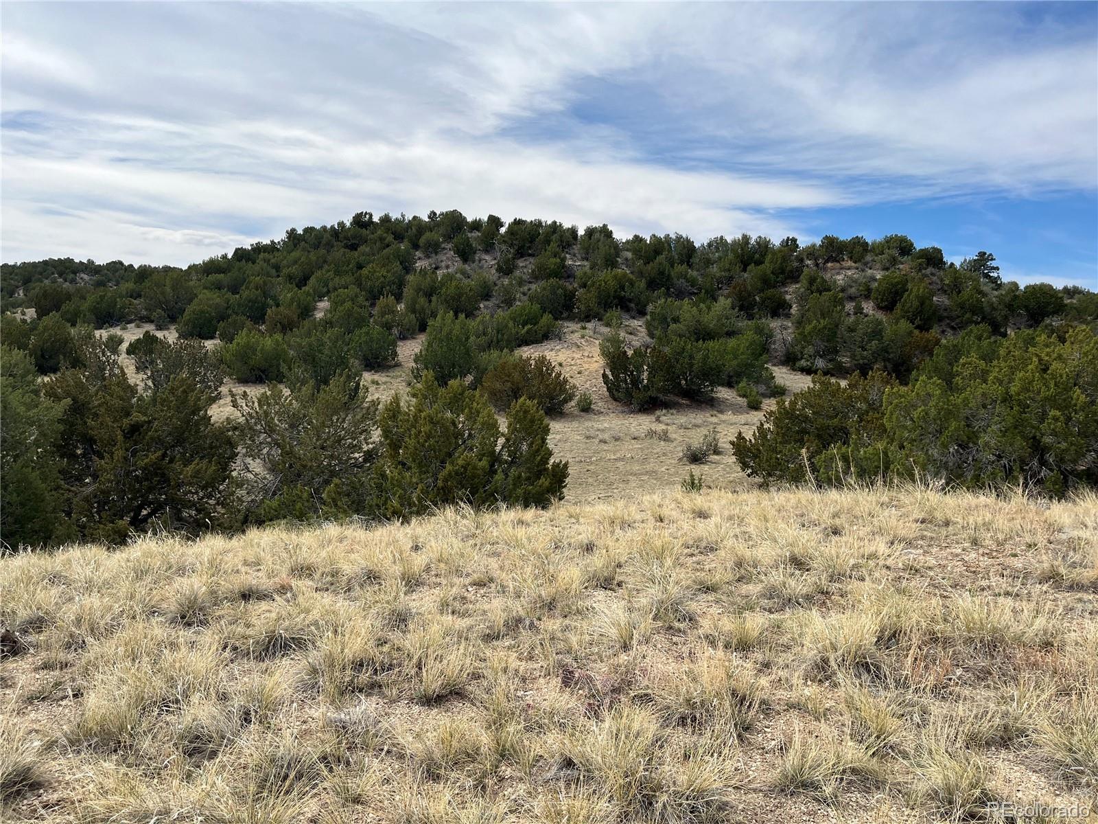 Lot 2 Red Creek Springs Road Pueblo, CO 81005 - Photo 12 of 22