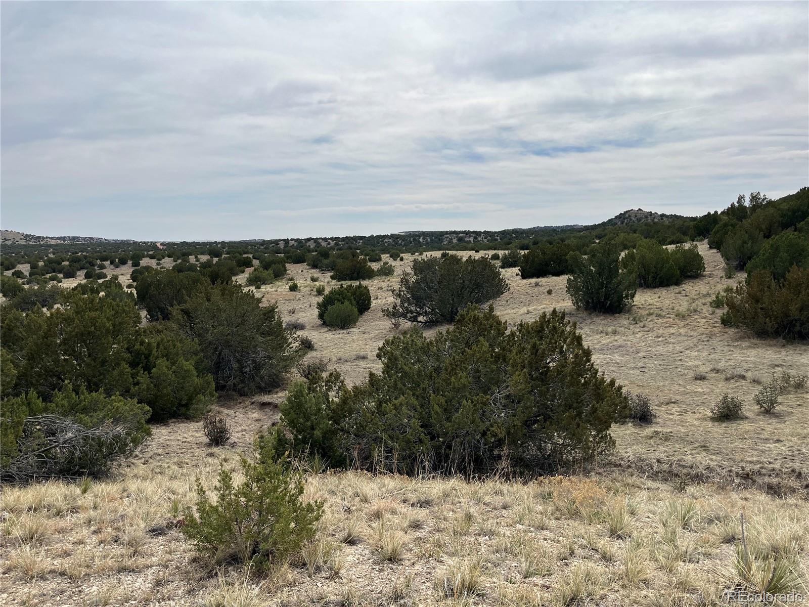 Lot 2 Red Creek Springs Road Pueblo, CO 81005 - Photo 15 of 22