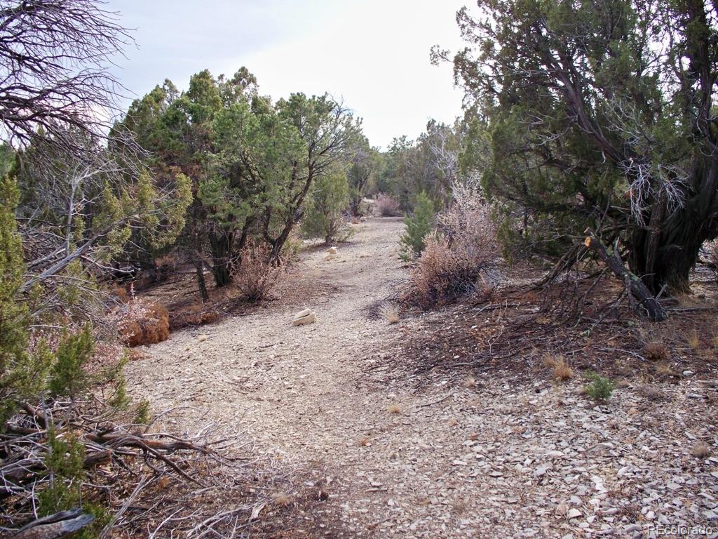 Lot 2 Red Creek Springs Road Pueblo, CO 81005 - Photo 21 of 22