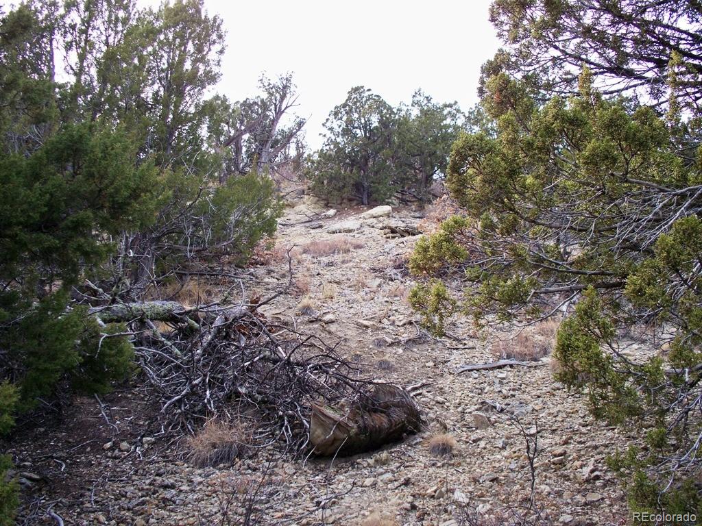 Lot 2 Red Creek Springs Road Pueblo, CO 81005 - Photo 22 of 22