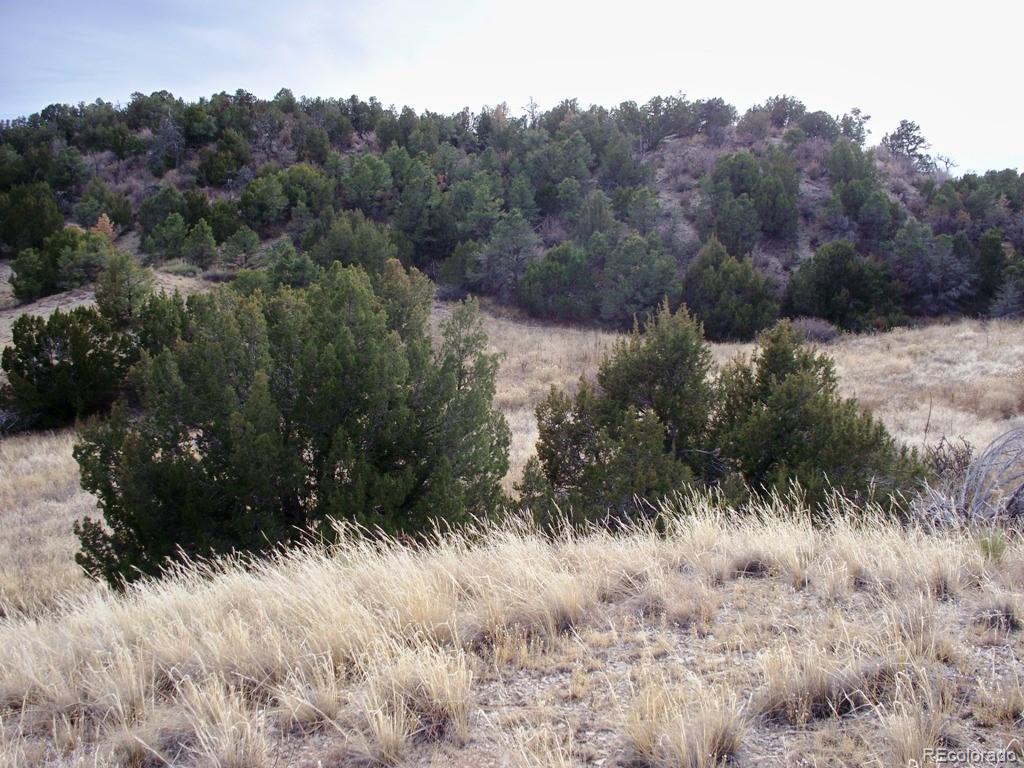Lot 2 Red Creek Springs Road Pueblo, CO 81005 - Photo 4 of 22