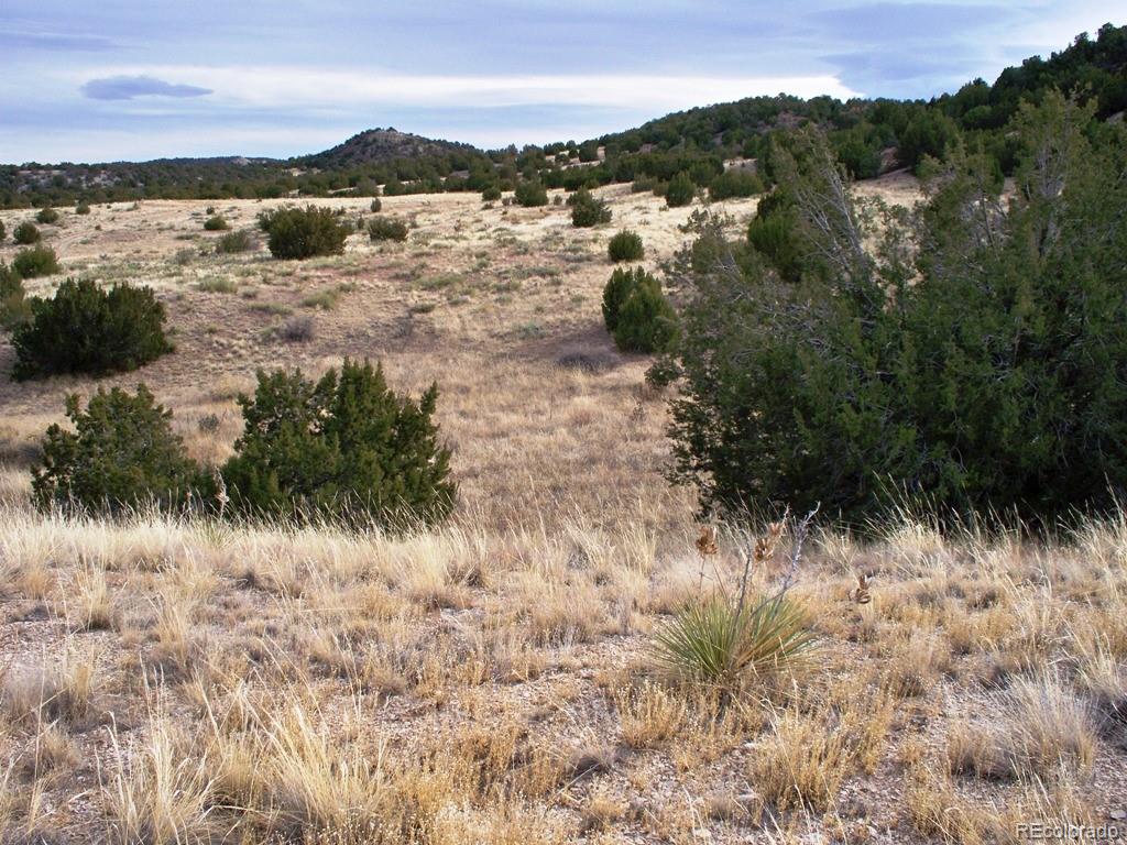 Lot 2 Red Creek Springs Road Pueblo, CO 81005 - Photo 5 of 22