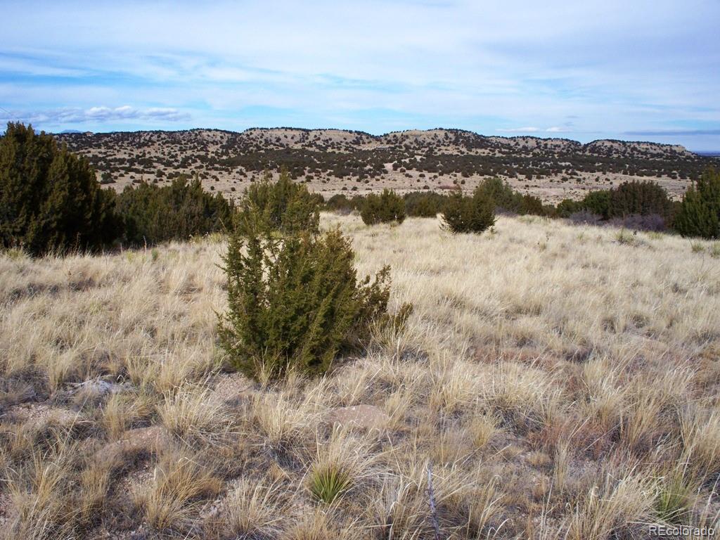Lot 2 Red Creek Springs Road Pueblo, CO 81005 - Photo 6 of 22