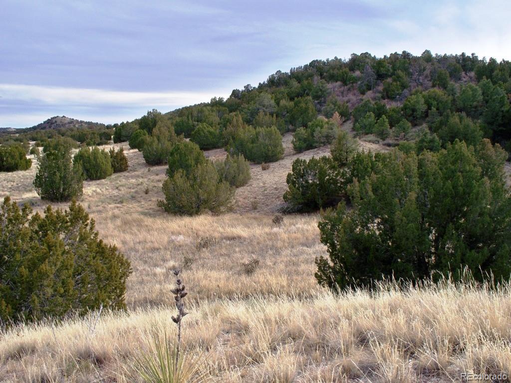 Lot 2 Red Creek Springs Road Pueblo, CO 81005 - Photo 7 of 22