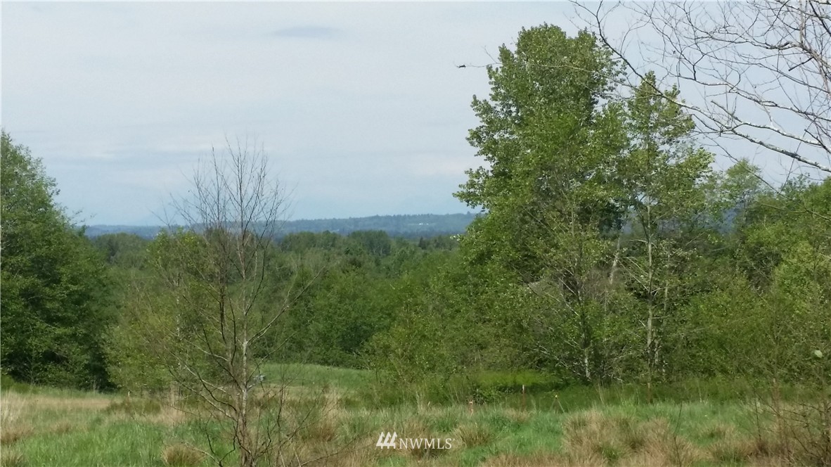 7227 Everett Road Ferndale, WA 98248 - Photo 1 of 4