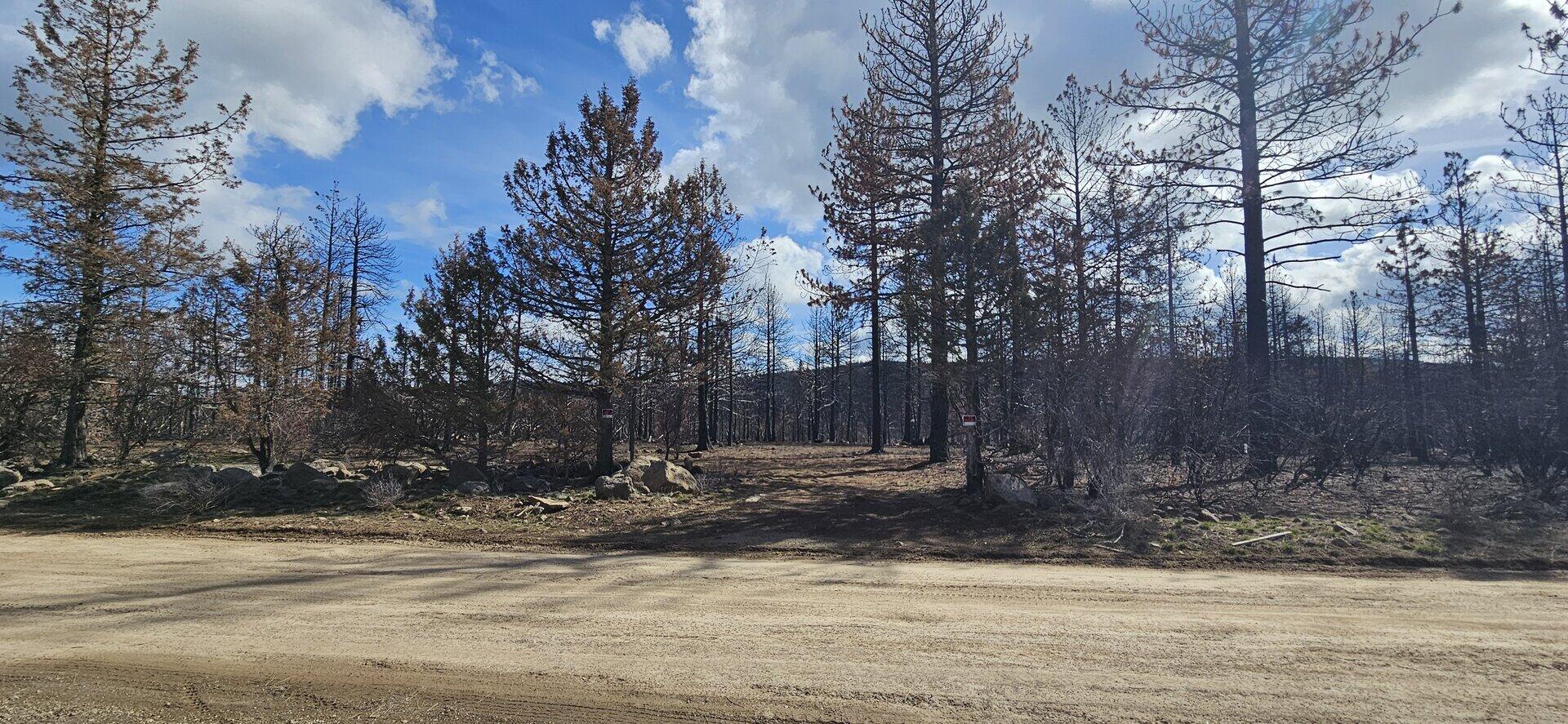 Mockingbird Drive, Unit 394530 Bonanza, OR 97623 - Photo 1 of 12 Lot frontage from road