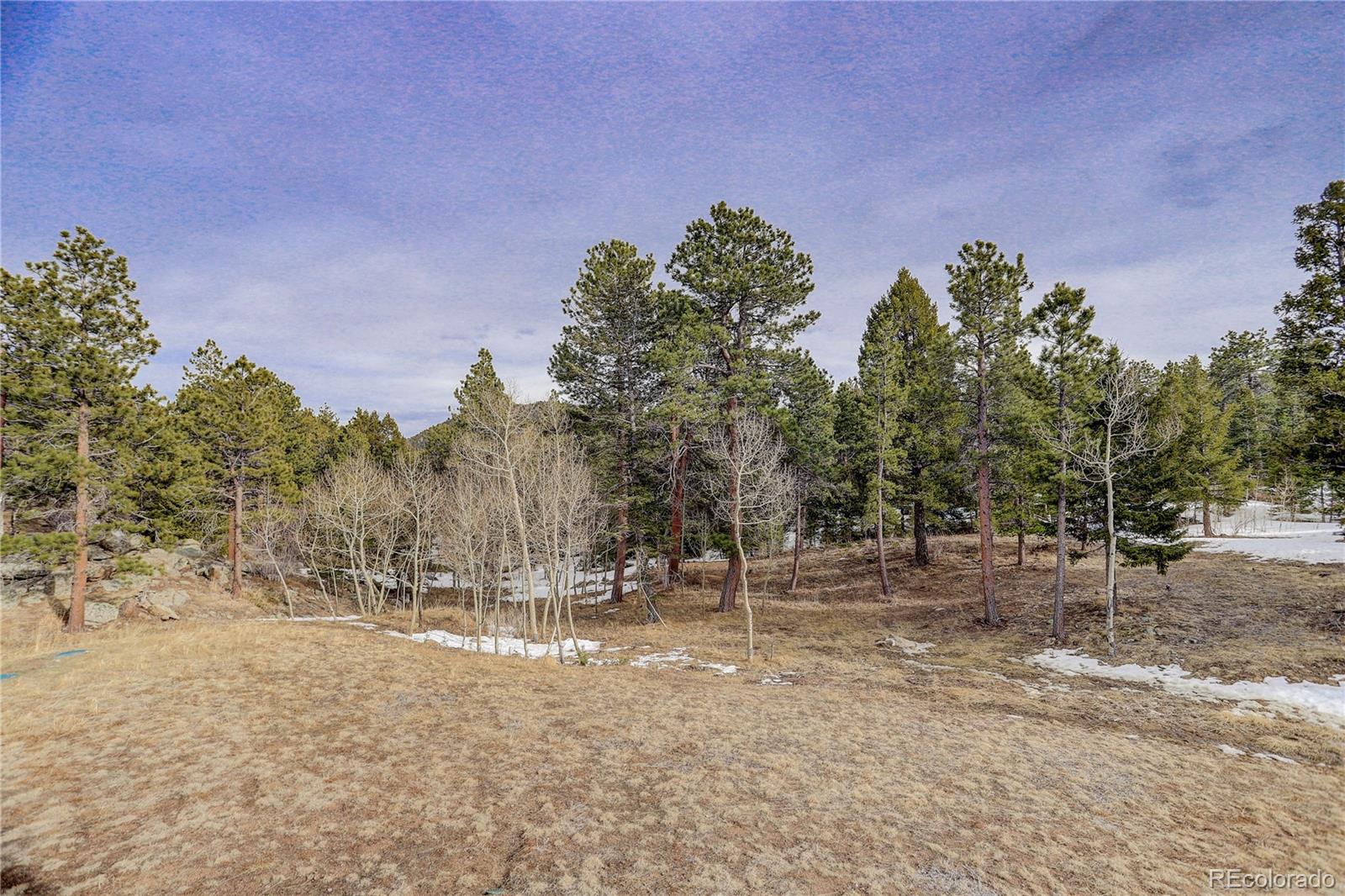 500 Ridge Road Ward, CO 80481 - Photo 28 of 31 a view of outdoor space with trees