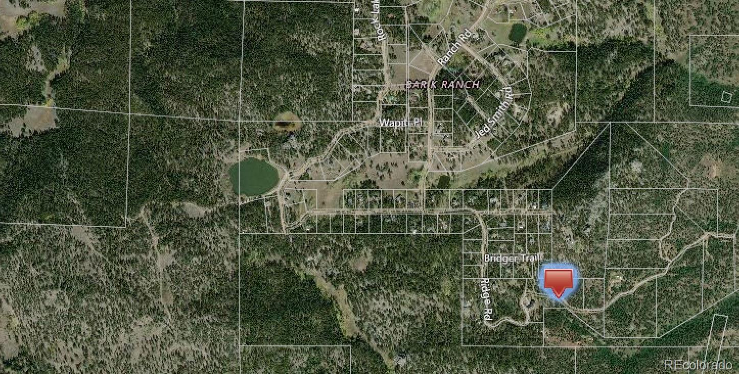 500 Ridge Road Ward, CO 80481 - Photo 31 of 31 a bathroom with a shower