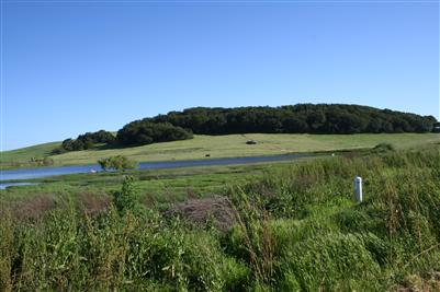 Middle 2 Rock Road Petaluma, CA 94952 - Photo 5 of 11 a view of a field with an trees