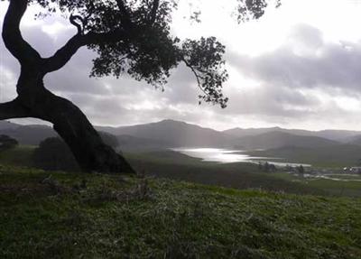 Middle 2 Rock Road Petaluma, CA 94952 - Photo 6 of 11 a view of an outdoor space and yard