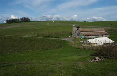 Middle 2 Rock Road Petaluma, CA 94952 - Photo 7 of 11 a view of a golf course with a lake