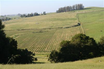 Middle 2 Rock Road Petaluma, CA 94952 - Photo 10 of 11 a view of an ocean view