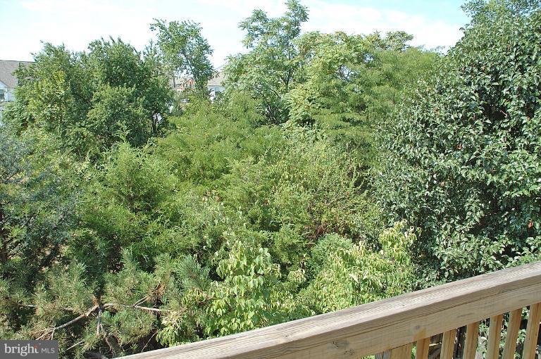 8239 Singleleaf Lane Lorton, VA 22079 - Photo 12 of 25 View