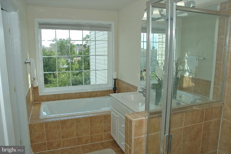 8239 Singleleaf Lane Lorton, VA 22079 - Photo 22 of 25 Bath (Master)