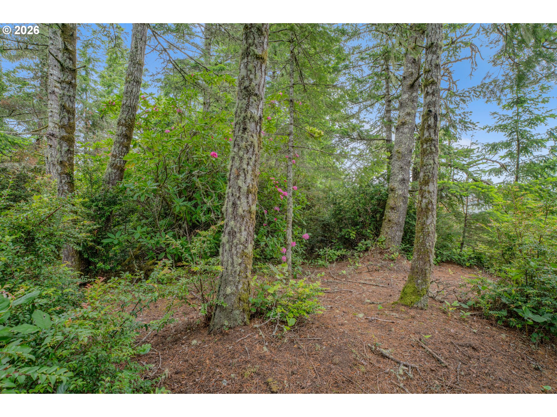 1639 Willow Loop Florence, OR 97439 - Photo 10 of 18