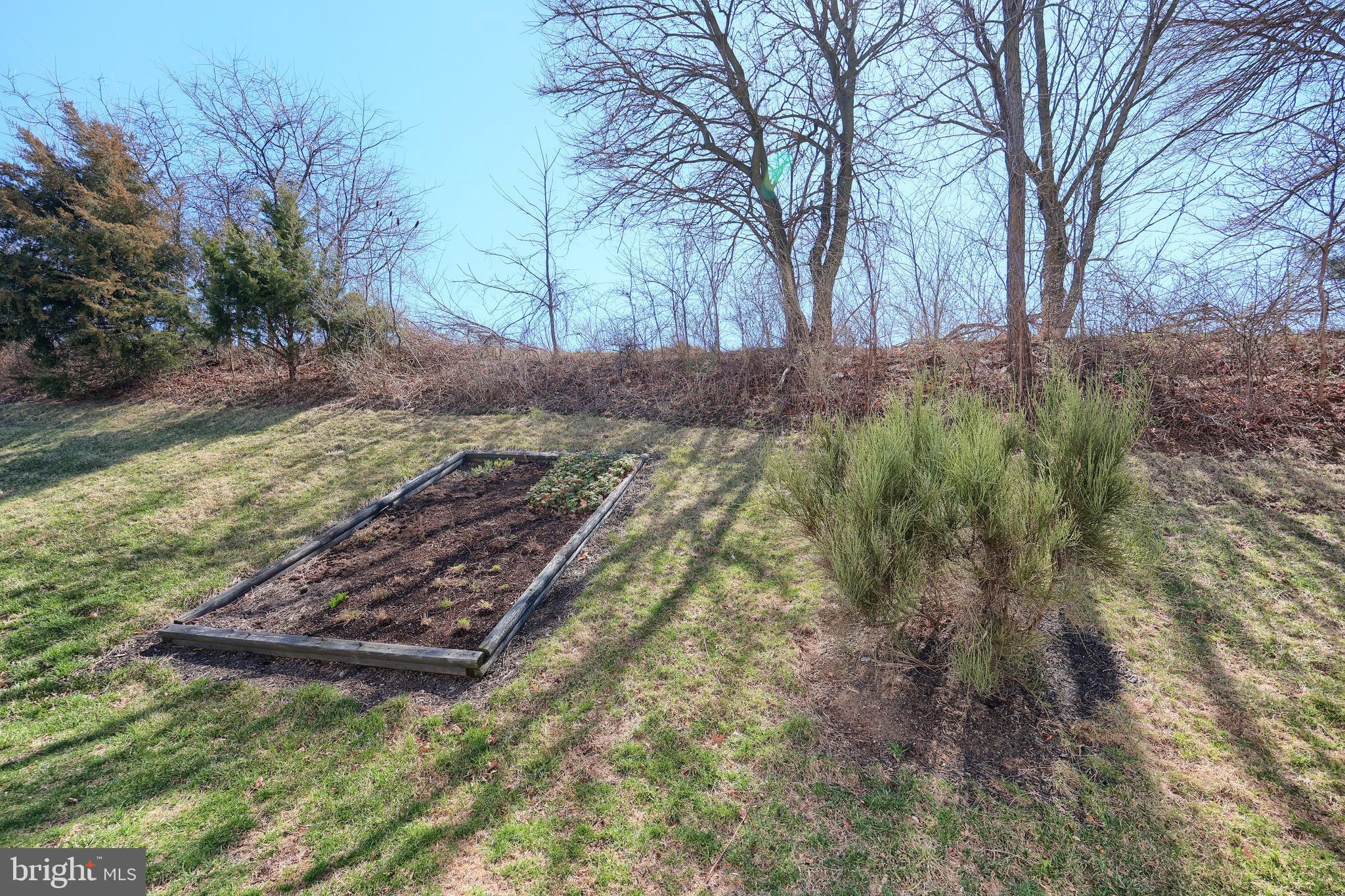 195 Fawn Hill Road Hanover, PA 17331 - Photo 13 of 73 a view of a yard with large trees