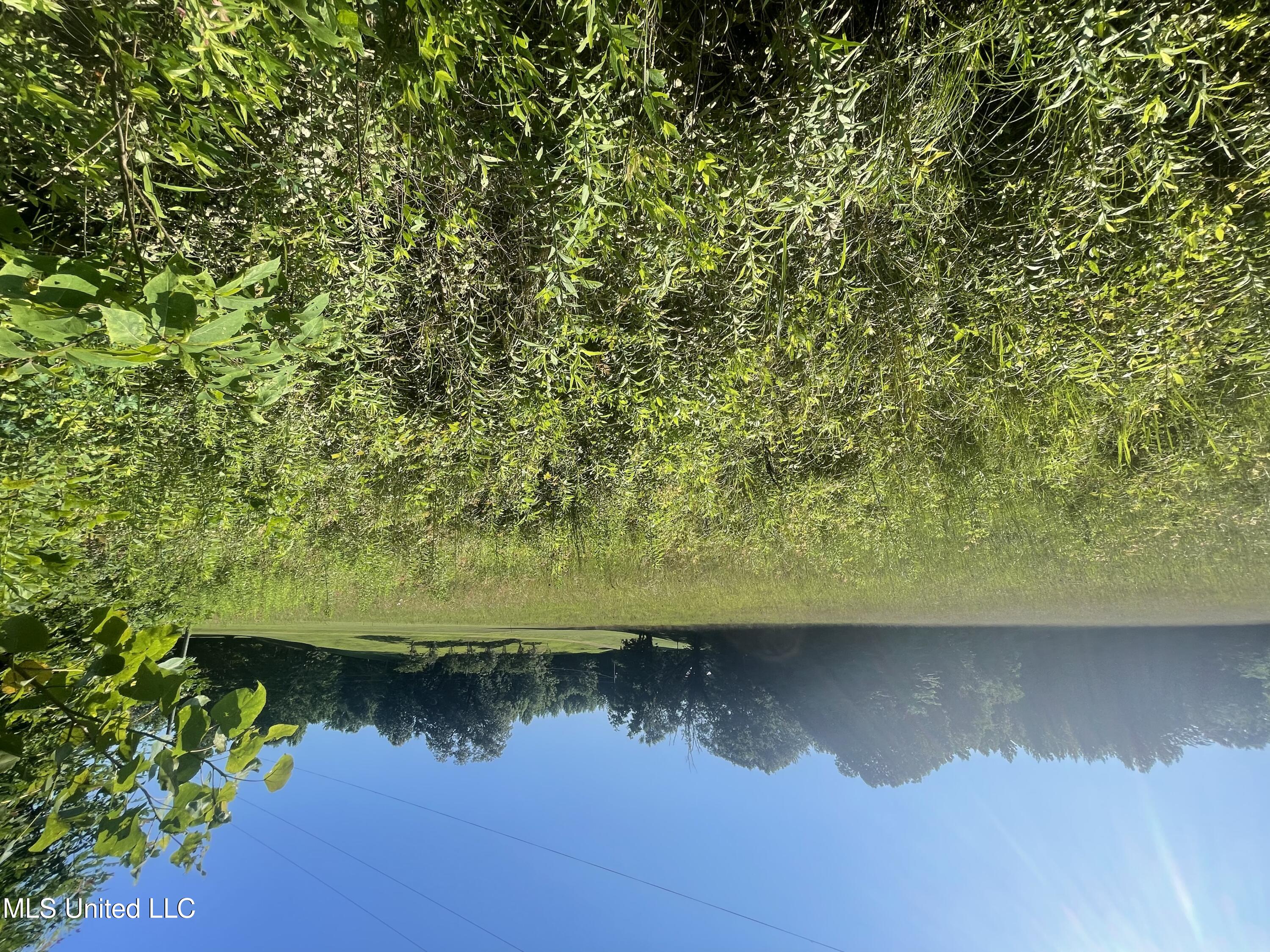 Road View from Seven Rd