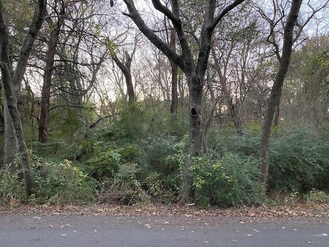 Front view of 1207 Rita Lane taken from road.