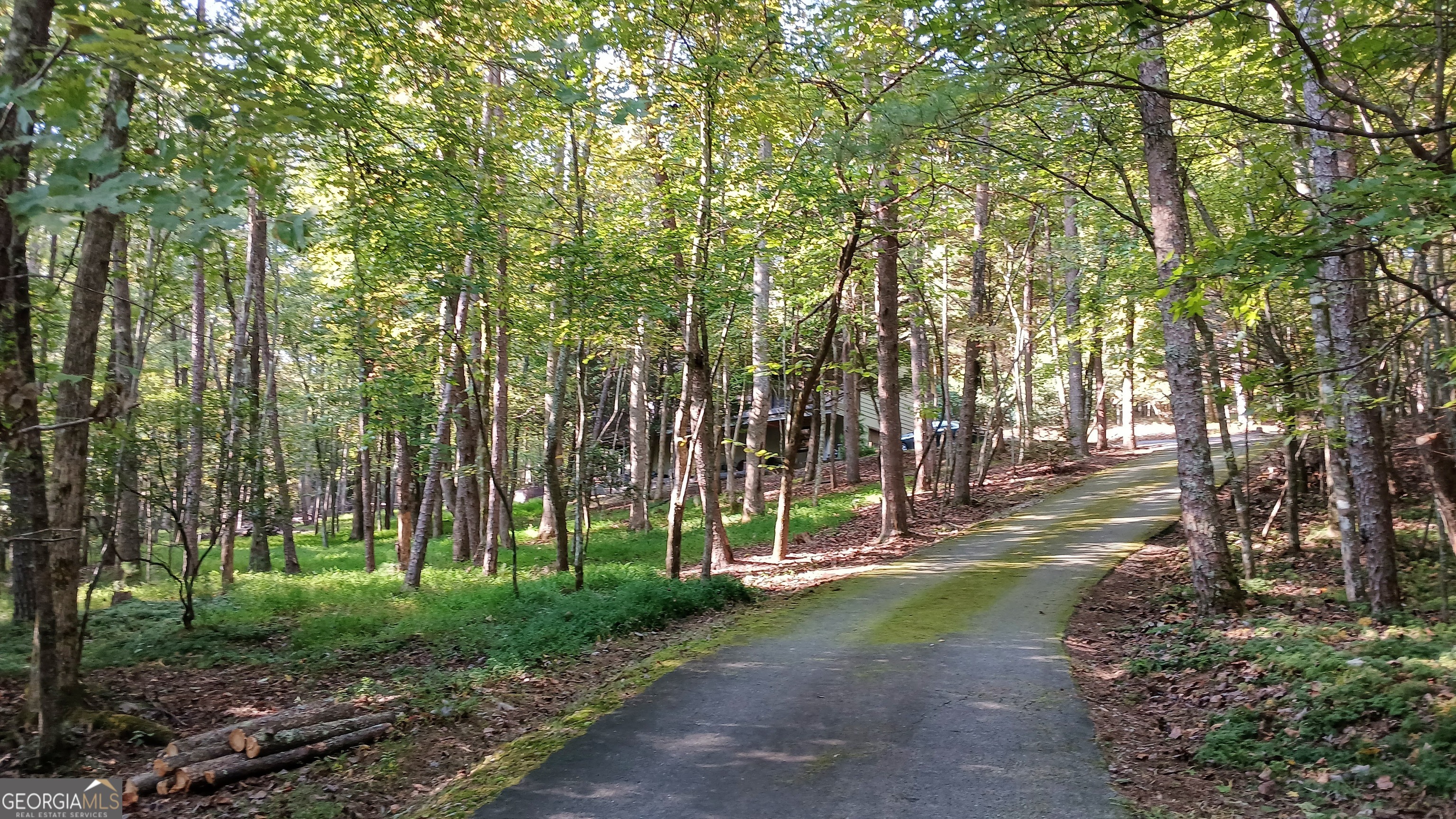 168 Cherokee Trail Sautee Nacoochee, GA 30571 - Photo 14 of 80