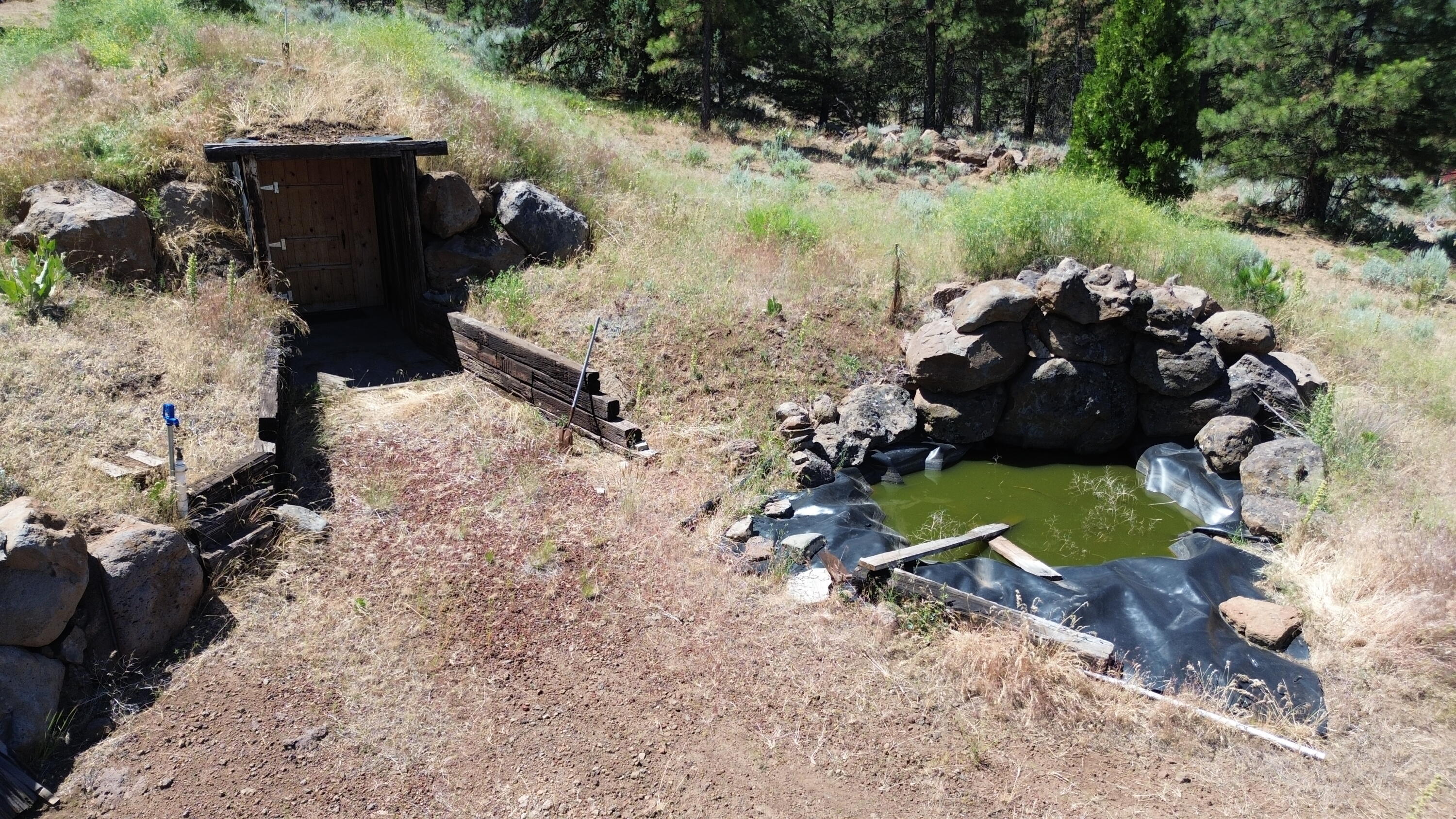 542-405 Punkin Center Road Bieber, CA 96009 - Photo 60 of 127 ROOT CELAR 2 (3)