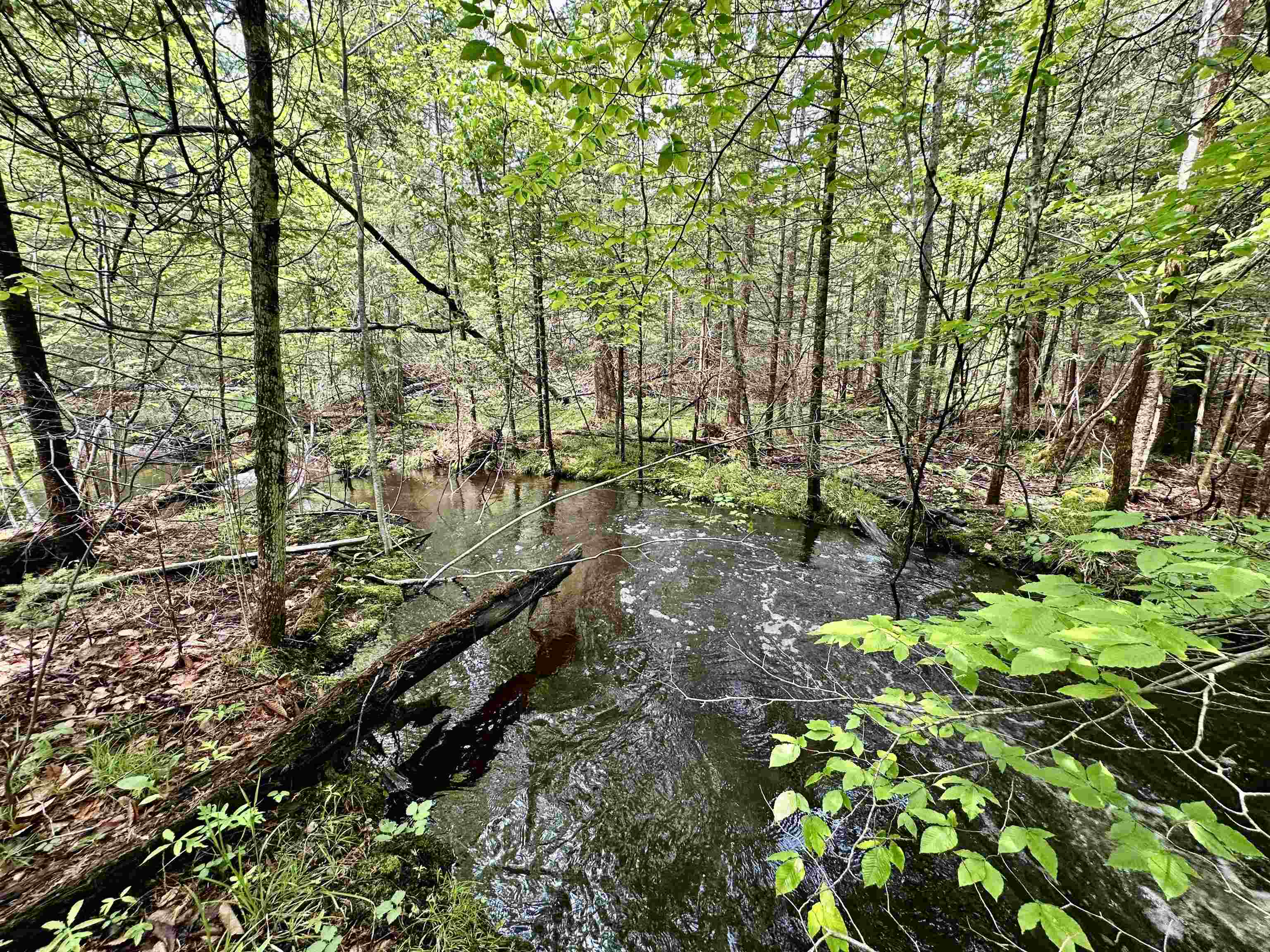 90-acres East Otto Road Suttons Bay, MI 49682 - Photo 40 of 68 Gallery Image 40
