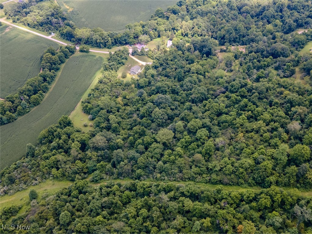 0 Mill St Road Quaker City, OH 43773 - Photo 17 of 23 Aerial view of property and surrounding area with a forest