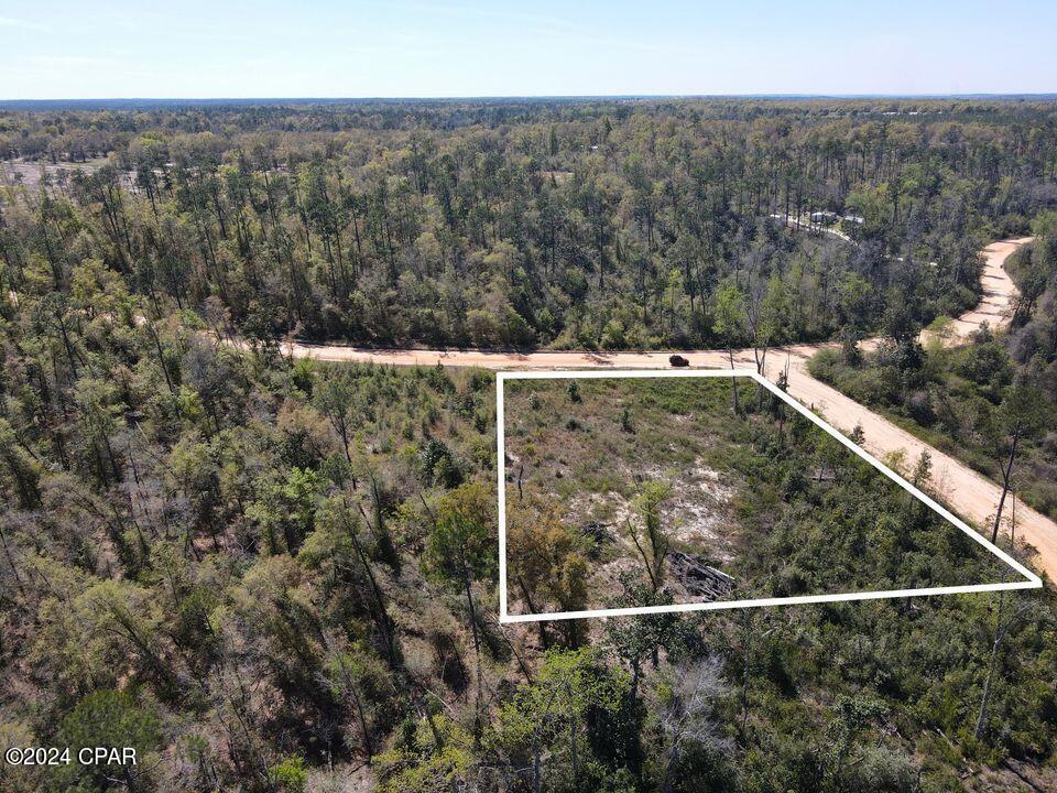0 Powder Circle Alford, FL 32420 - Photo 4 of 9