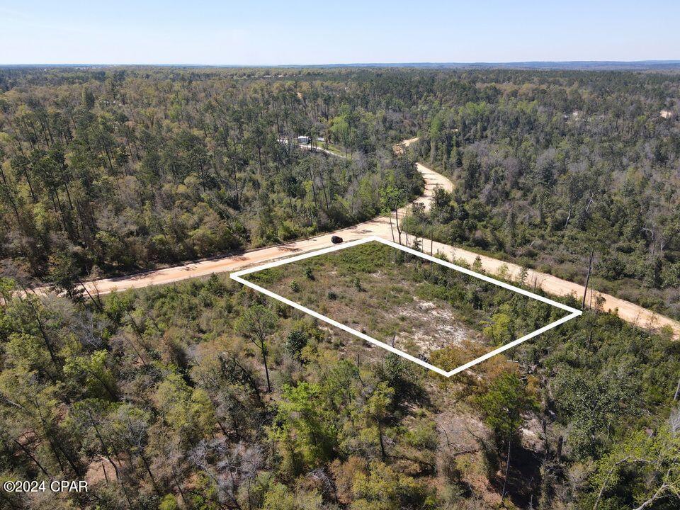 0 Powder Circle Alford, FL 32420 - Photo 5 of 9