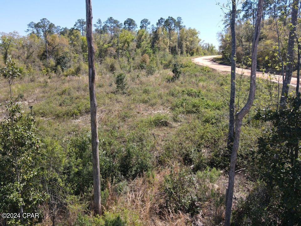 0 Powder Circle Alford, FL 32420 - Photo 7 of 9