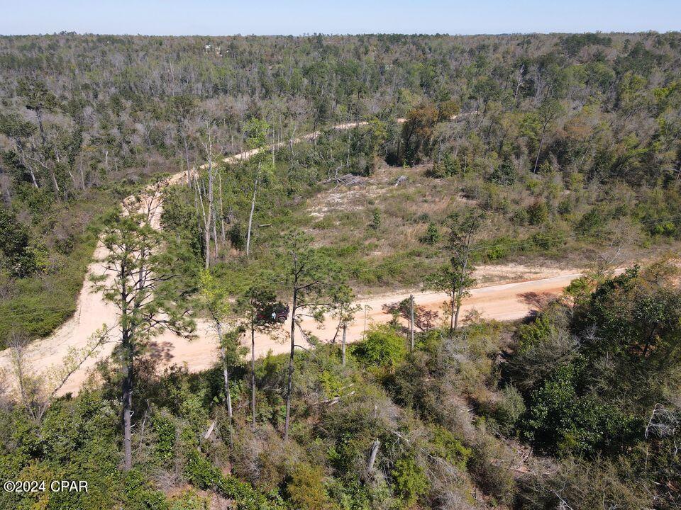 0 Powder Circle Alford, FL 32420 - Photo 8 of 9