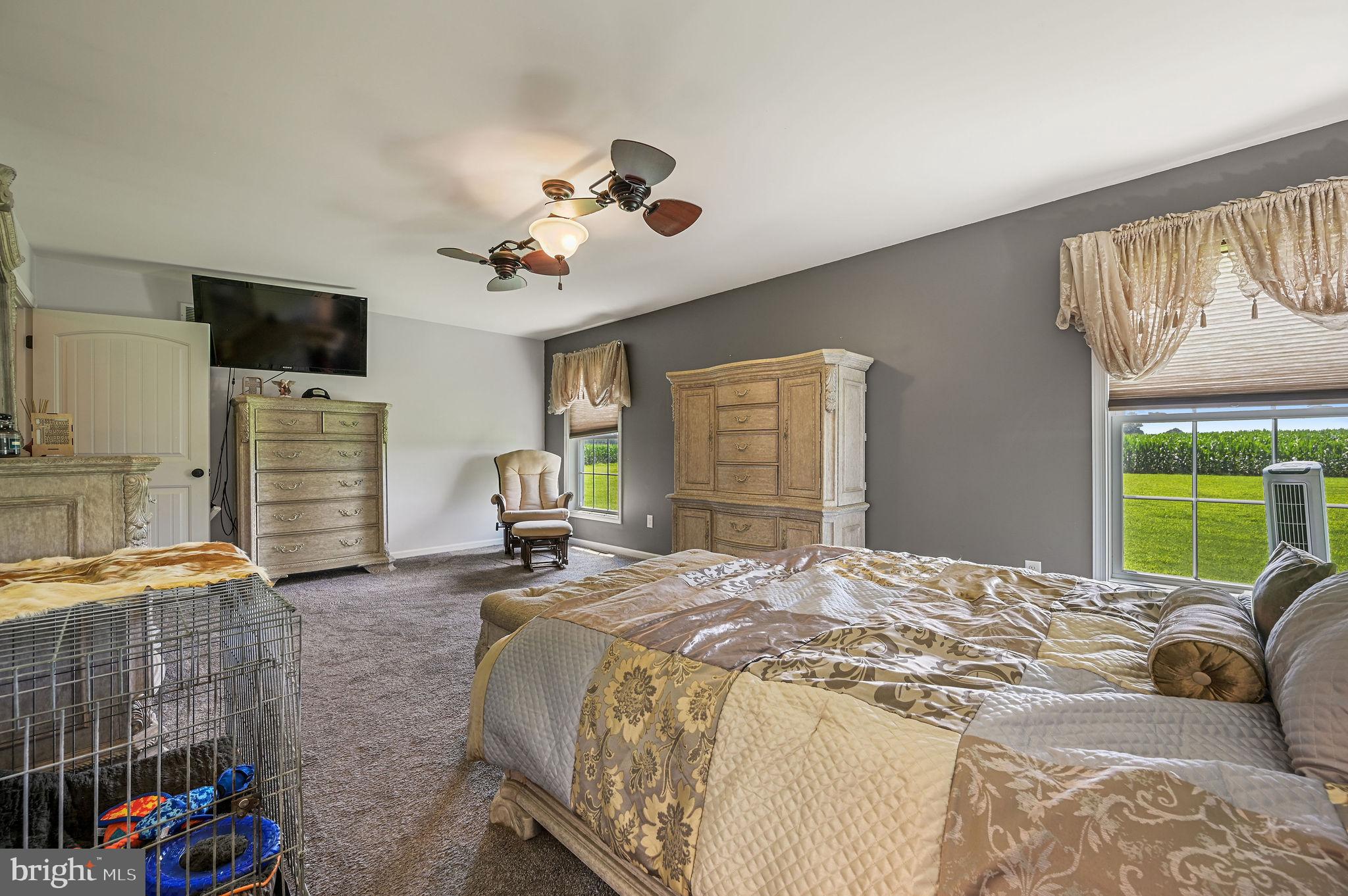 1731 Black Swamp Road Felton, DE 19943 - Photo 17 of 27