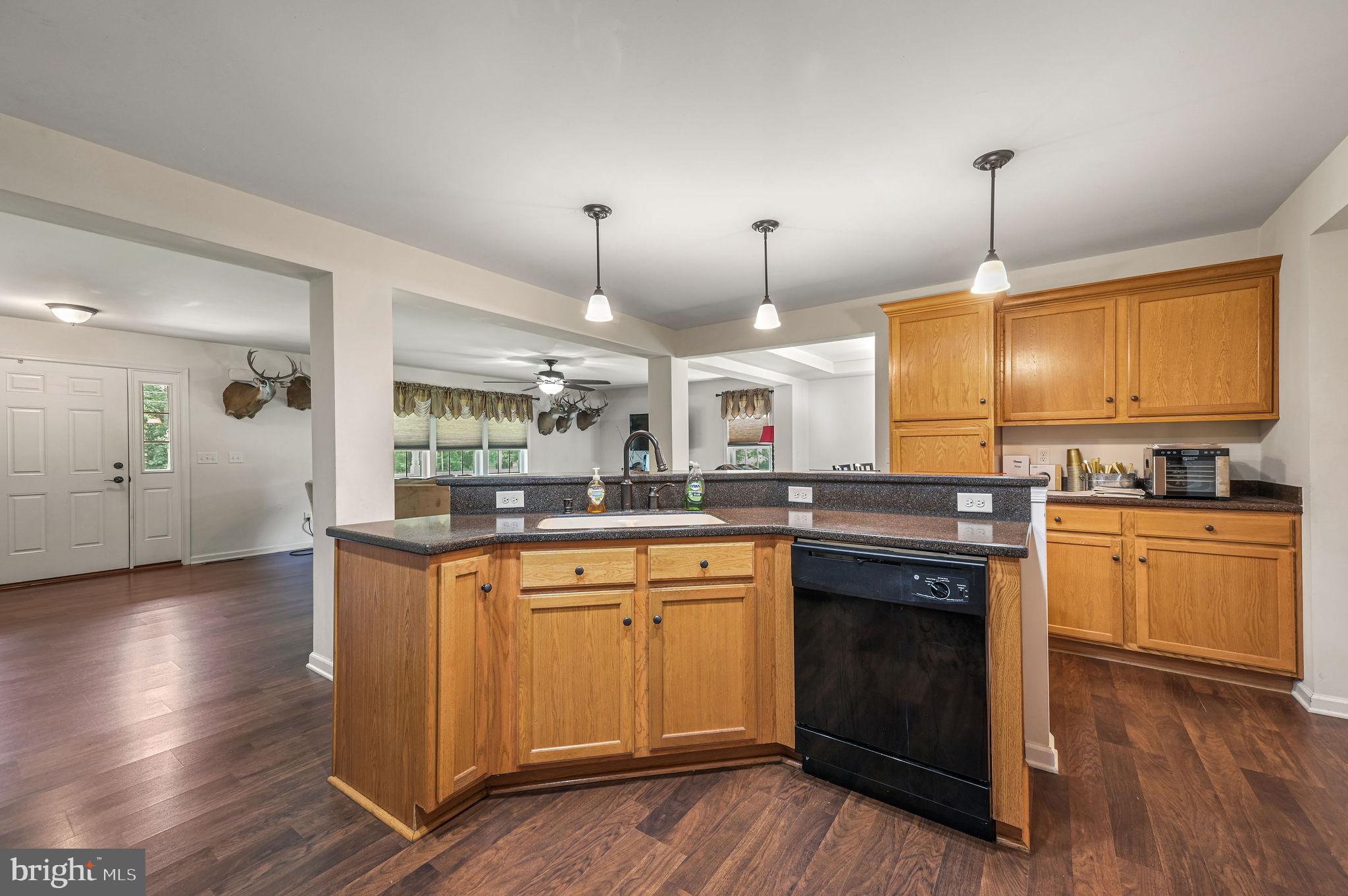 1731 Black Swamp Road Felton, DE 19943 - Photo 2 of 27