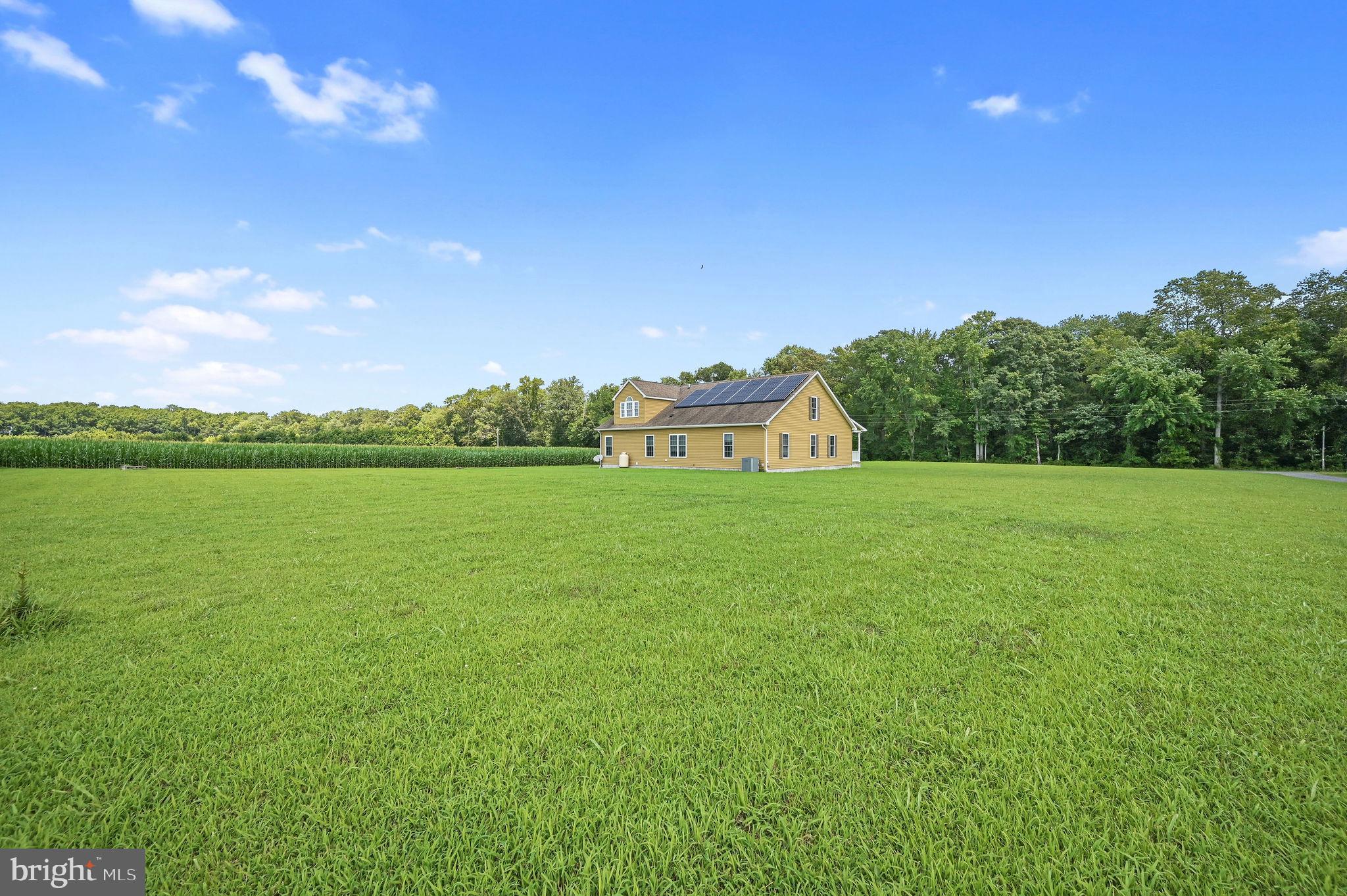 1731 Black Swamp Road Felton, DE 19943 - Photo 26 of 27