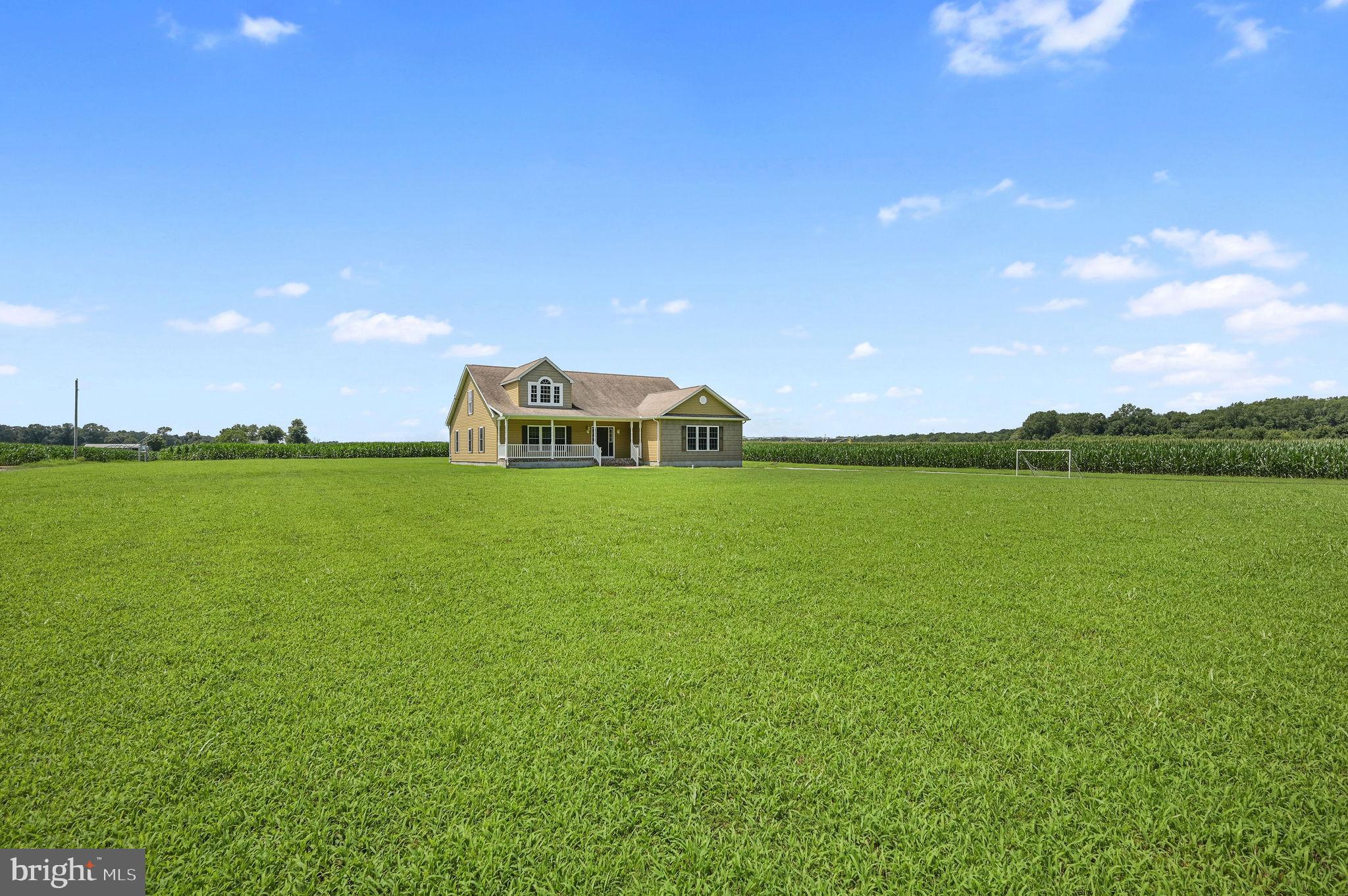 1731 Black Swamp Road Felton, DE 19943 - Photo 27 of 27