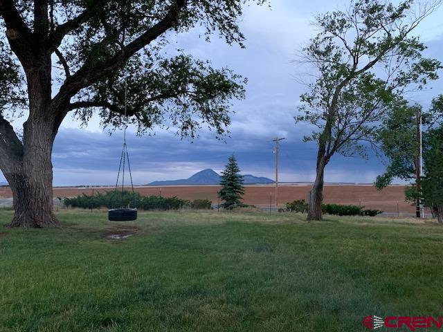18469 Rd South Cortez, CO 81321 - Photo 33 of 34 a view of a garden