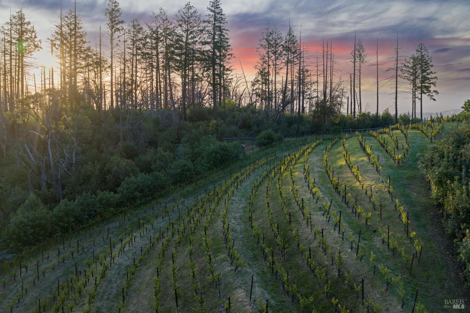 3801 Mt Veeder Road Napa, CA 94558 - Photo 20 of 22