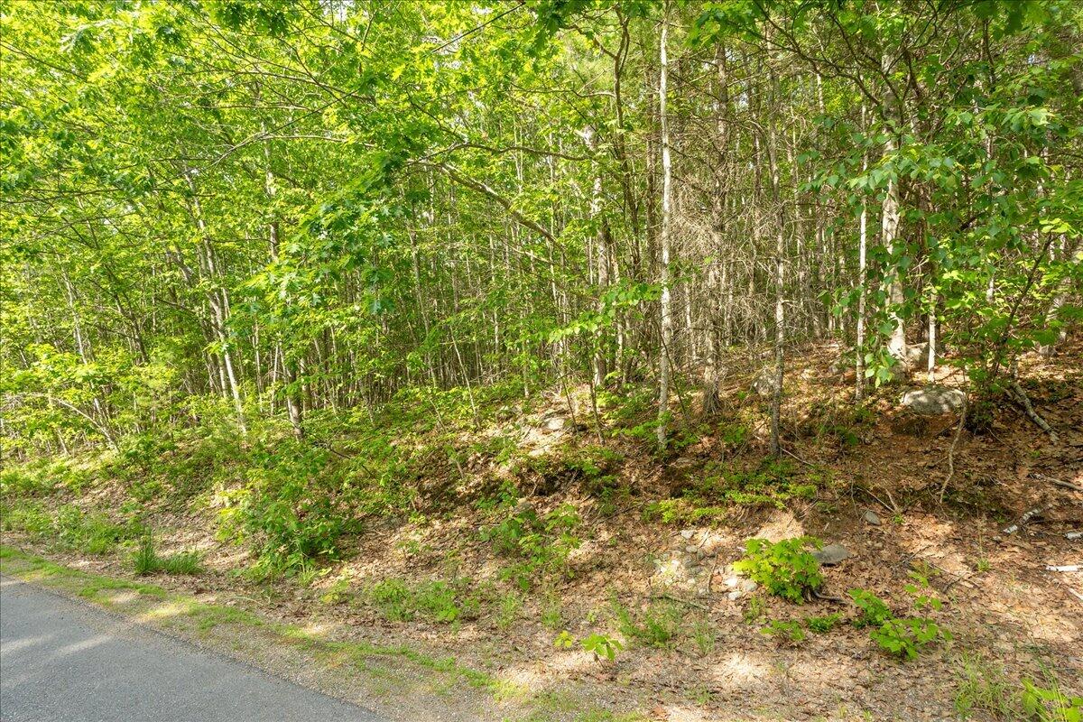 680-686 Beech Hill Road Northport, ME 04849 - Photo 3 of 20 2-Beech Hill-3