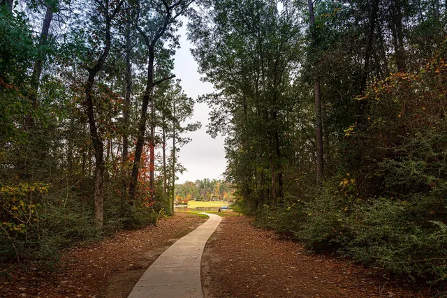 a view of a yard with plants and trees