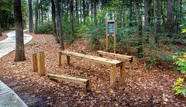 a view of a bench in the garden