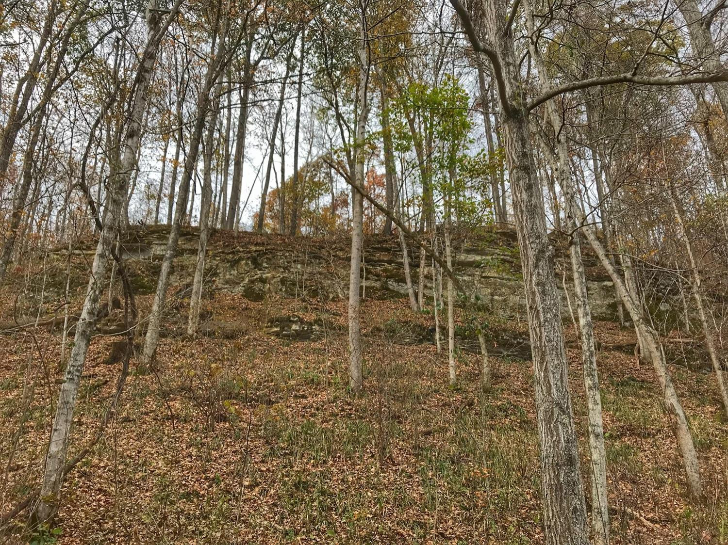 889 South Fork Road Stanton, KY 40380 - Photo 15 of 19 Photo 15